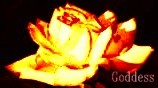 sticker_9256051_19853603