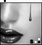 Etiqueta_47408_2325500