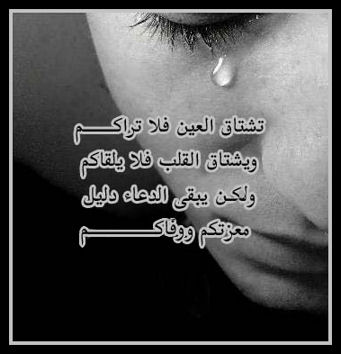 sticker_23073075_42073345