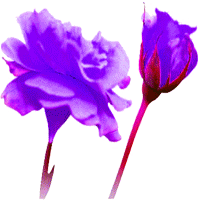 sticker_8763416_26588073
