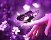 sticker_96904006_3