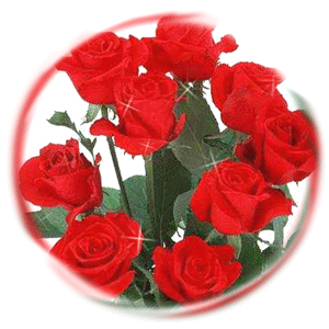 sticker_16411608_33051997
