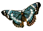 sticker_143950311_1321