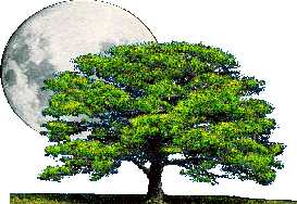 Etiqueta_1765188_3057253