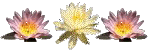 sticker_12525141_28433838