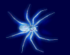 sticker_18810321_26400051