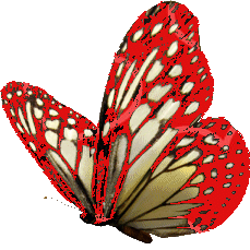 sticker_1536679_2140691