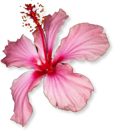 sticker_966878_44911732