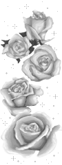 adesivo_42954770_434