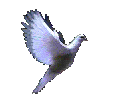 sticker_8756579_16715939