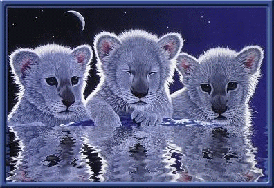 sticker_21543309_38408575