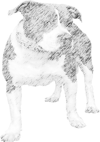 sticker_28513360_46654358