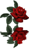 adesivo_144414426_9