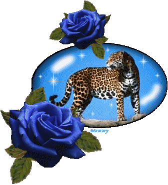 naklejka_14632426_22504406