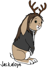 sticker_285124535_116
