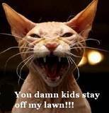 stiker_9136954_19923227