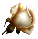 sticker_19239321_25226919