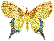 sticker_143950311_1323