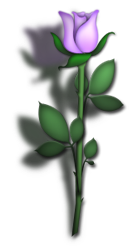 adesivo_19693407_47481389