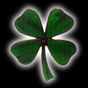 sticker_10533770_14505832
