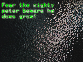 sticker_4370080_7723365