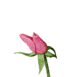 sticker_222595158_10