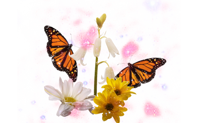 sticker_248661052_212