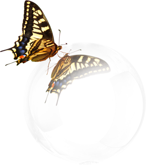 sticker_19203747_47585466