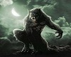 adesivo_19517993_42464263