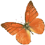 sticker_143950311_1320
