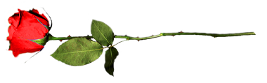 sticker_16411608_35769518