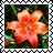 sticker_6317272_35034989