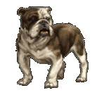 sticker_37005128_565