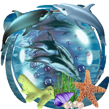 sticker_2613348_3458899
