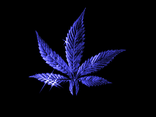 sticker_1074529_1563125