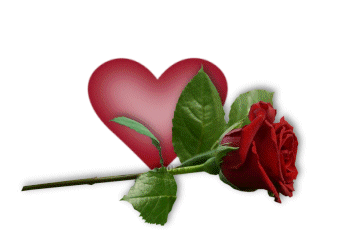 adesivo_303953541_17