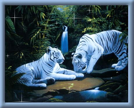sticker_2959878_11845356