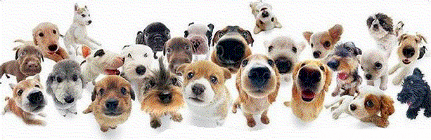 sticker_1705183_28471860