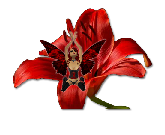 sticker_13603421_19195705
