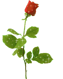 stiker_8074654_13383300