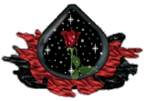 adesivo_21355322_31071880