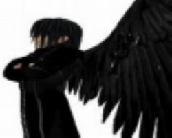 sticker_13057192_24905116
