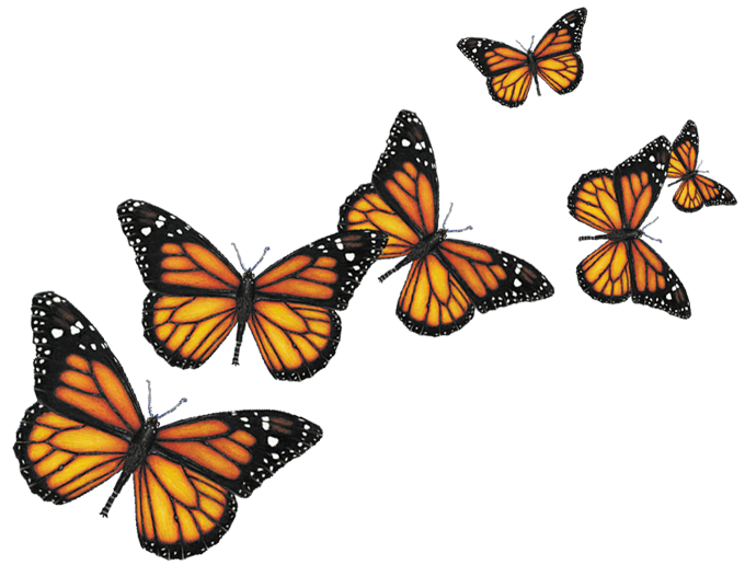 sticker_61457907_323