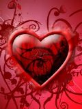 adesivo_29222565_40616453