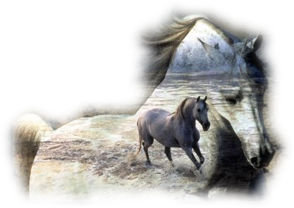 sticker_13317202_17253371