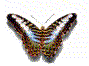 naklejka_22872105_34560995