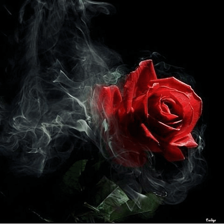 sticker_177782183_6