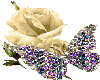 Etiqueta_11627485_17041035