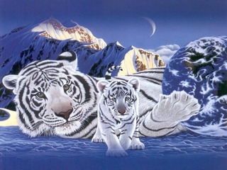 sticker_21543309_38441980