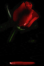 sticker_13273400_18449868